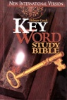 NIV Hebrew Greek Key Word Study Bible - Burgundy Bonded Leather **
